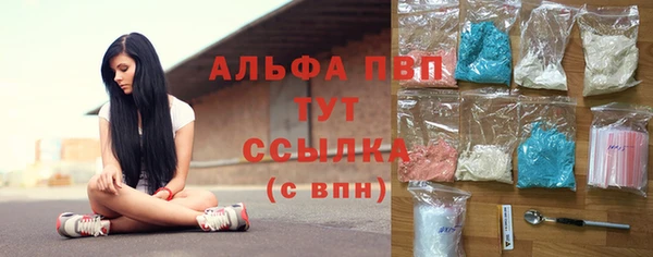 индика Бронницы