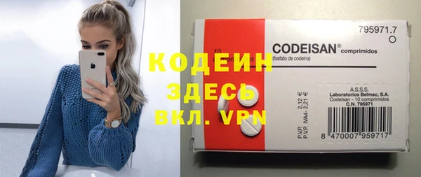 индика Бронницы