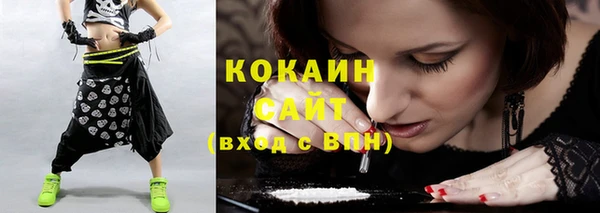 индика Бронницы