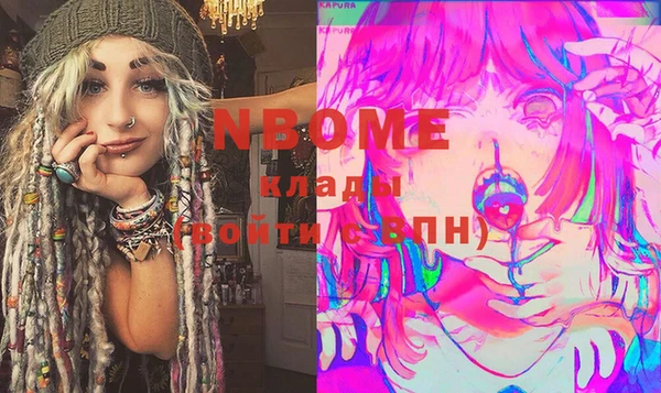 индика Бронницы