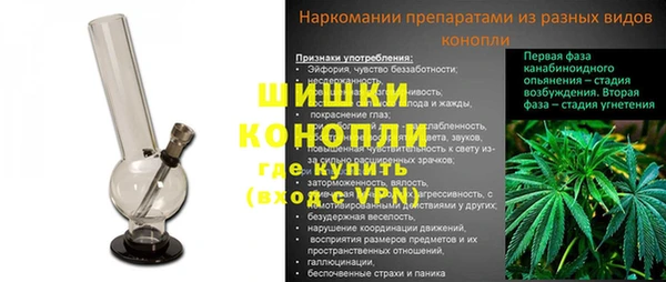 индика Бронницы
