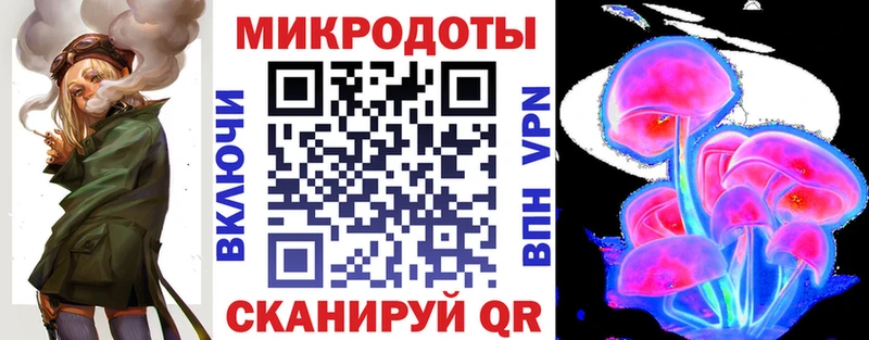 Псилоцибиновые грибы Psilocybe  Емва 